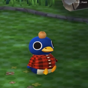 Roald Animal Crossing